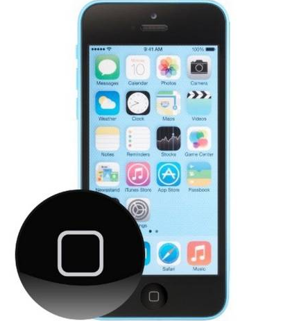 iPhone 5C Home button 