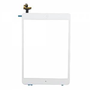 iPad Mini White Screen 